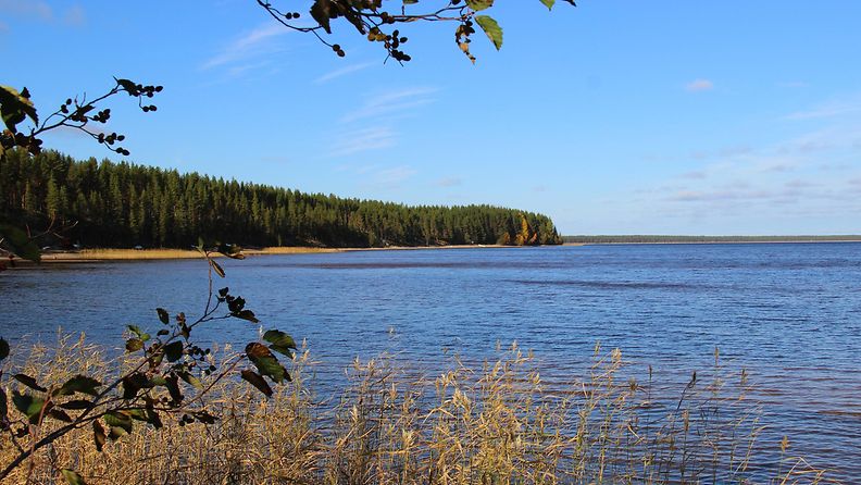 Aurinkoinen Oulujärvi 28. syyskuuta 2014. Lukijan kuva: Sinikka Kujala