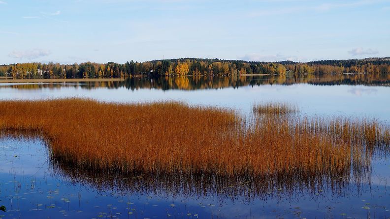 Syksyn värejä 1. lokakuuta 2014 Palokkajärvellä Jyväskylässä. Lukijan kuva: Maarit Siitonen