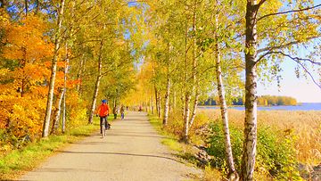 Aurinkoinen ruskapäivä sai ihmiset ulkoilemaan Vaasassa 5. lokakuuta 2014. Lukijan kuva: Matti Hietala