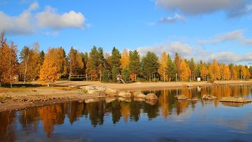 Ruska hehkui Oulujärven rannoilla 30. syyskuuta 2014. Lukijan kuva: Sinikka Kujala