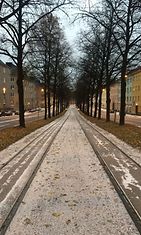 Lumisateita Helsingissä 23. lokakuuta 2014.