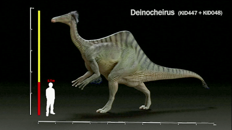 Dinosaurus Deinocheirus