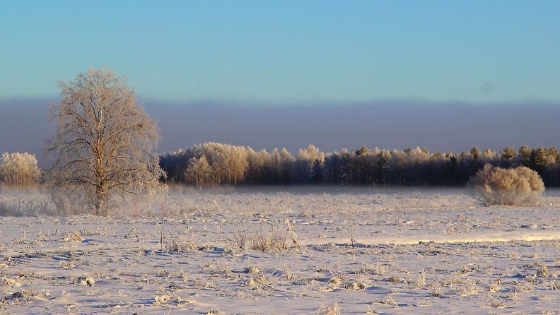 Talvista maisemaa Utajärvellä 6. marraskuuta 2014. Lukijan kuva: Sinikka Kujala