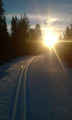 Aurinkoinen latu Ylitorniolla 12. marraskuuta 2014. Kuva: Anna-Maija Nikka