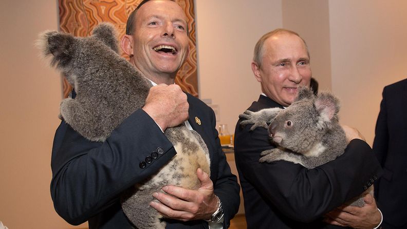 Putin Australia koala Tony abbot