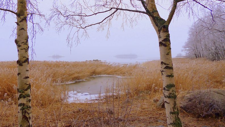 Pakkasen jälkiä ja sumuinen meri 17. marraskuuta 2014. Lukijan kuva: Matti Hietala