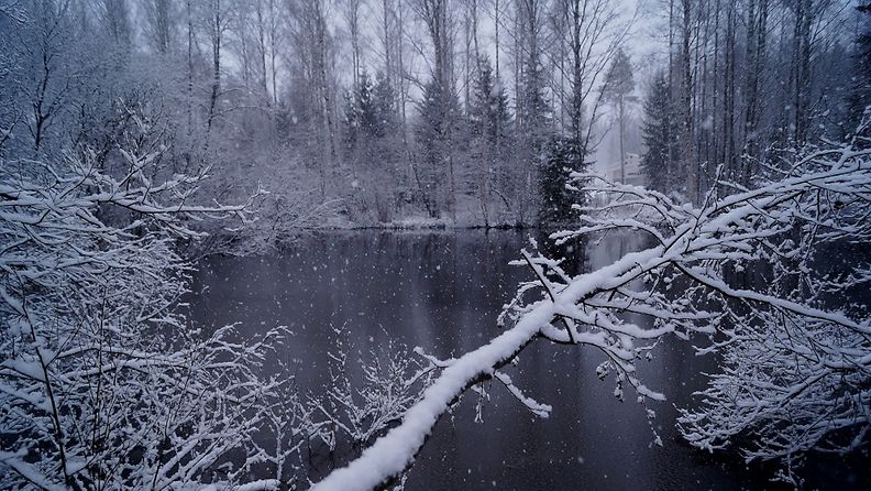 lumi Palokka Jyväskylä