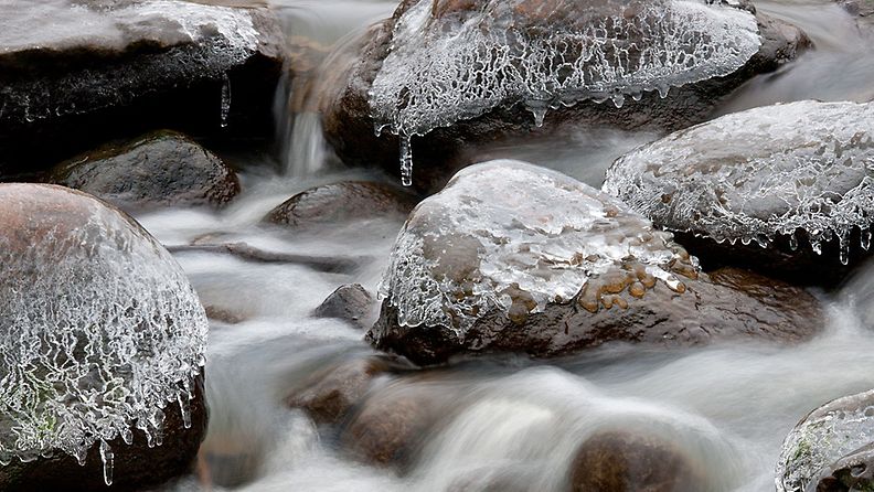 lumi Reijo Juutinen lukijan kuva puro jää