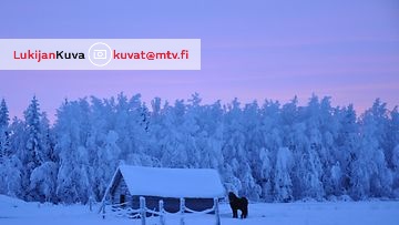 Joulukuinen kuva Rovaniemen Marraskoskelta. 