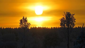 Väriä taivaalla Utajärvellä 28. joulukuuta 2014. Lukijan kuva: Sinikka Kujala