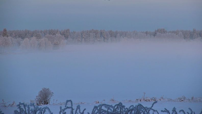 Kiristyvä pakkanen sai usvan nousemaan Utajärvellä 28. joulukuuta 2014. Lukijan kuva: Sinikka Kujala