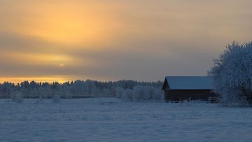 Talven hämyä ja pakkasta Utajärvellä 28. joulukuuta 2014. Lukijan kuva: Sinikka Kujala