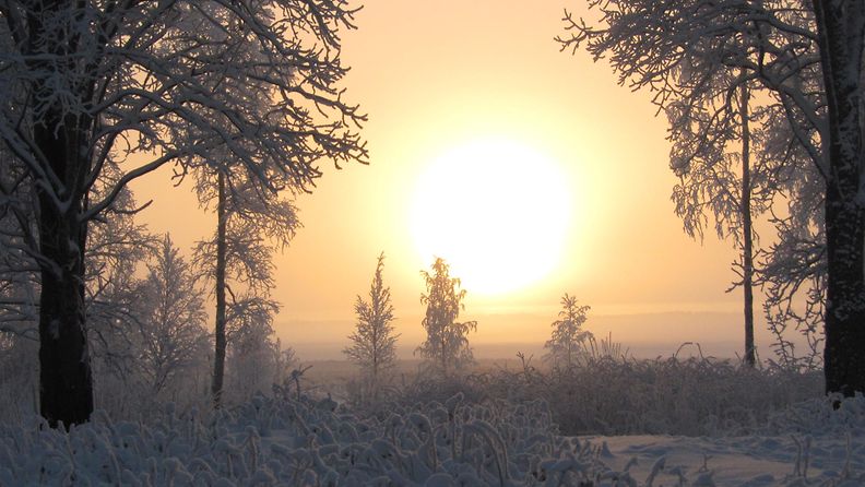 Parinkymmenen asteen pakkassää Säräisniemellä Vaalassa 28. joulukuuta 2014. Lukijan kuva: Maarit Leinonen