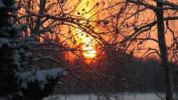 Auringonnousu Suonenjoella 28. joulukuuta 2014. Lukijan kuva: Ari Salola