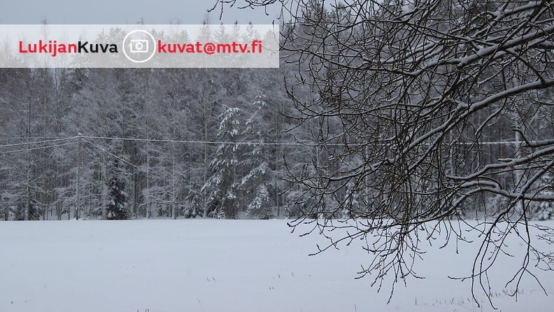 lumi talvi pyry sähkö johto sää luonto Suomi