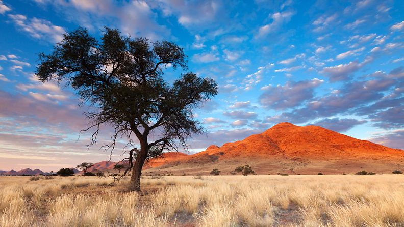 Namibialainen maisema (1)