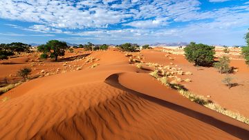 Namib Rand, Namibia