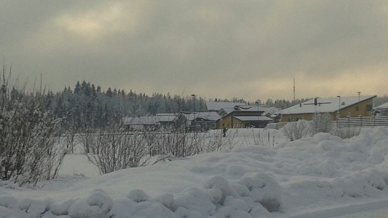 Tuusulassa oli runsaasti lunta 3. helmikuuta 2015. Kuva: Alex Sokka