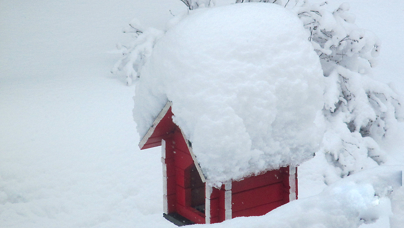 Runsaita lumisateita helmikuussa 2015. Lukijan kuva: Sinikka Puolanne, Lahti