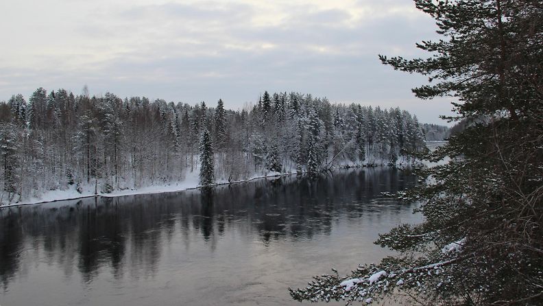 Oulujoki Utajärvellä 31. tammikuuta 2015. Lukijan kuva: Sinikka Kujala