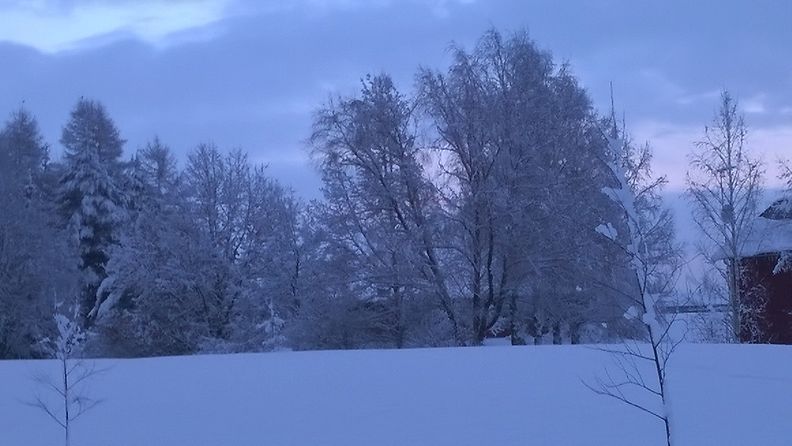 Lunta Tuusulassa 3. helmikuuta 2015. Kuva: Inka Sokka
