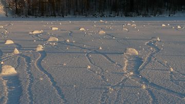 Savonlinnan Karkulahdessa oli kymmeniä lumirullia 6. helmikuuta 2015. Lukijan kuva: Marianne Pussinen