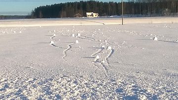 Tuuli puhalsi lumirullia Vimpelissä Lappajärven rannalla 6. helmikuuta 2015. Lukijan kuva: Tapio Lehto