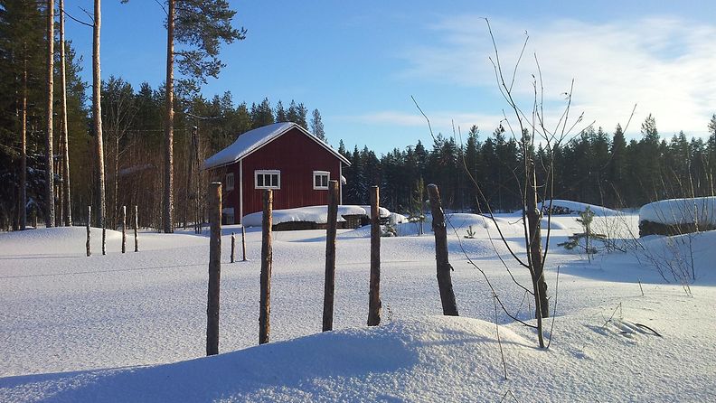 VALMIS, Aurinkoinen päivä Utajärvellä 6.2.2015. Lukijan kuva: Sinikka Kujala.