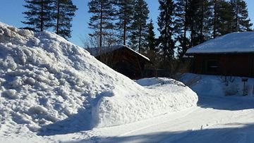 Lumikinoksia Puolangalla Kainuussa maaliskuun puolivälissä 2015.