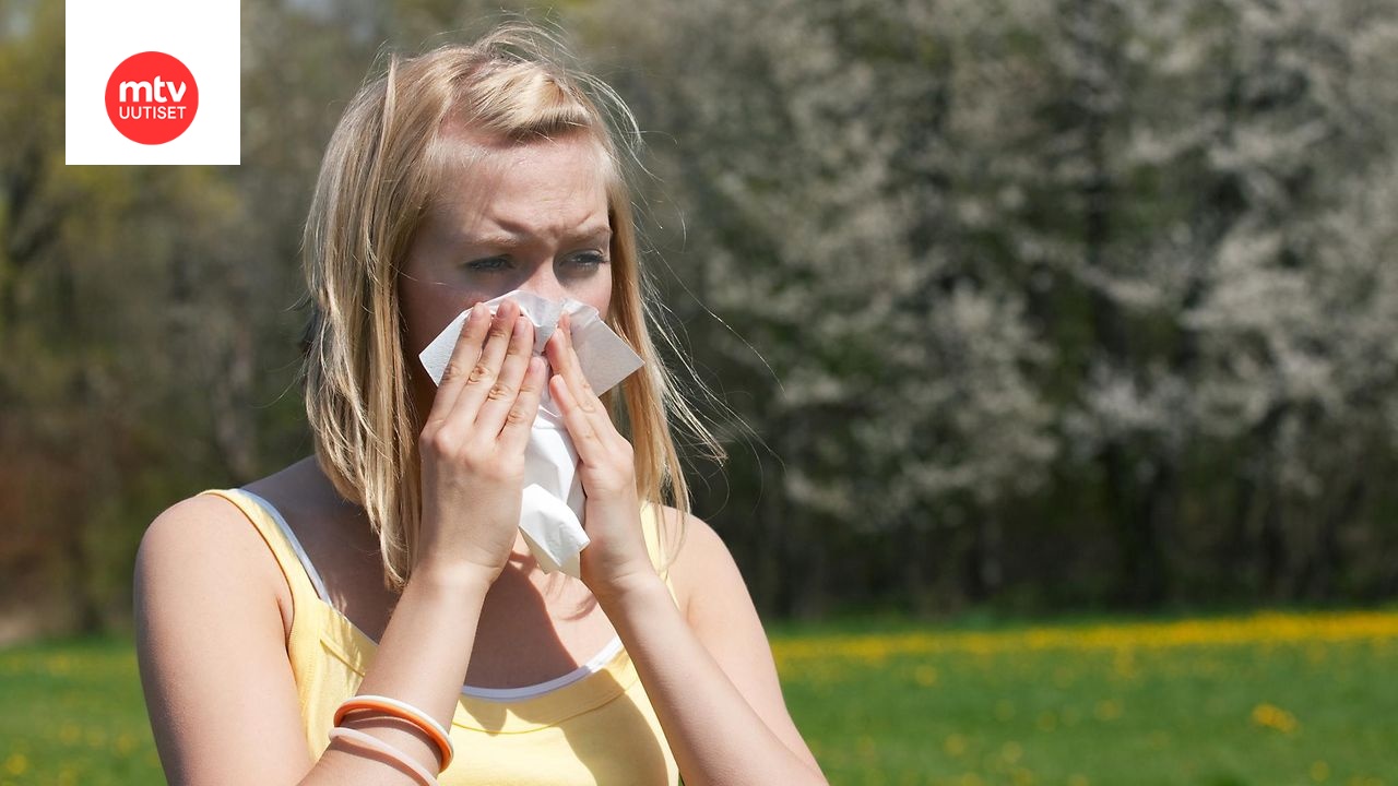 Allerginen nuha heikentää elämänlaatua herkkyyksistä kärsiviä ei pidä