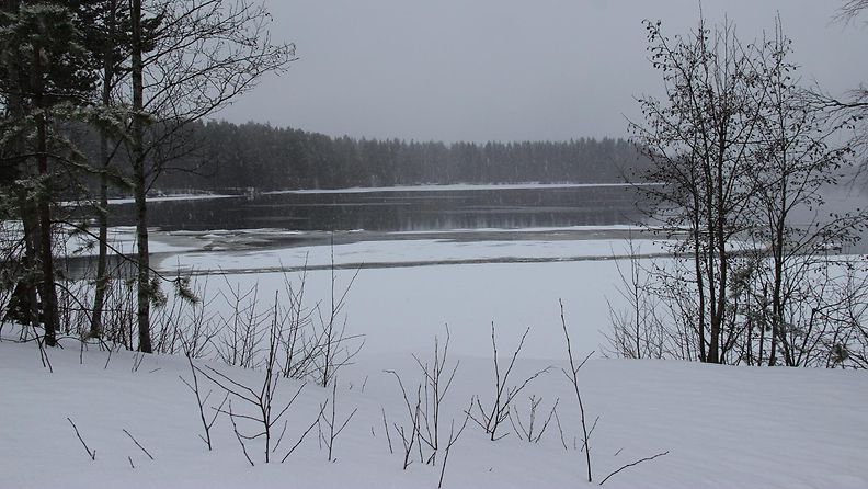 Räntäsadetta Utajärvellä 22. helmikuuta 2015. Lukijan kuva: Sinikka Kujala