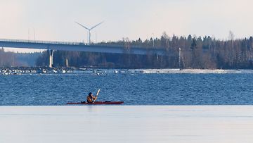 Meloja jään reunassa Raippaluodossa 21. maaliskuuta 2015. Lukijan kuva: Matti Hietala