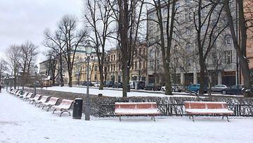 Helsingissä saatiin ohut lumipeite 25. maaliskuuta 2015. Lukijan kuva: Patrick Wikblad