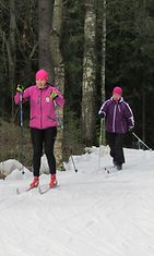 hiihto hiihtäminen talvi kevät Helsinki Lukijan kuva