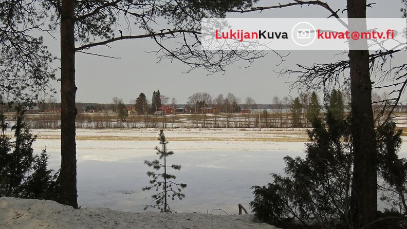 Lunta riitti vielä Utajärven korkeudella Pohjois-Pohjanmaalla 12. huhtikuuta 2014. Lukijan kuva: Sinikka Kujala
