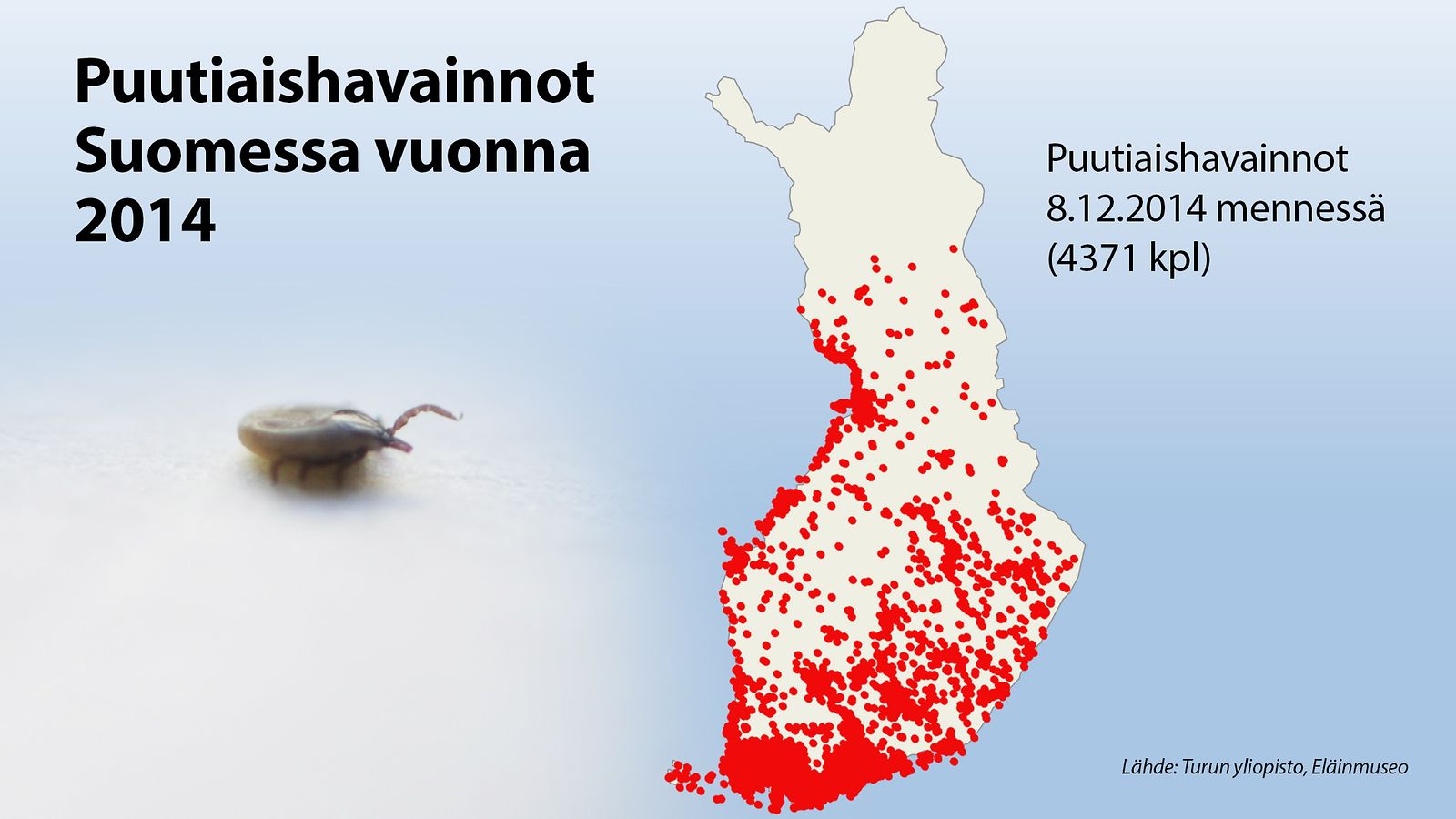 Punkit ovat jo levittäytyneet pohjoiseen – katso kartta! 