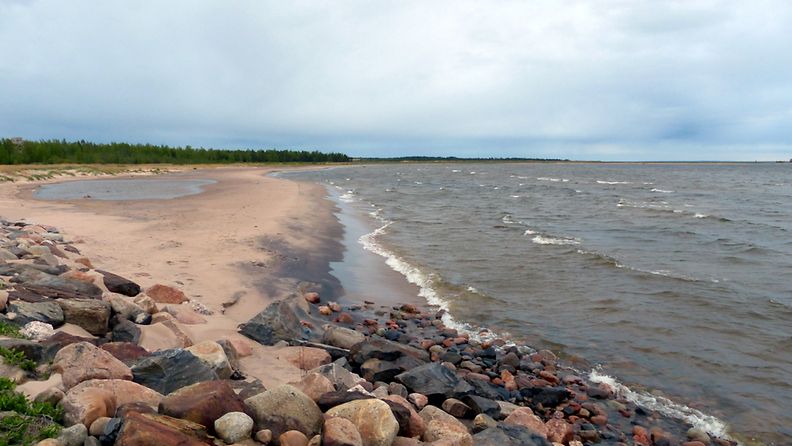 Tuulen ja sateen enteitä Lohtajalla 2. kesäkuuta 2015. Lukijan kuva: Matti Hietala