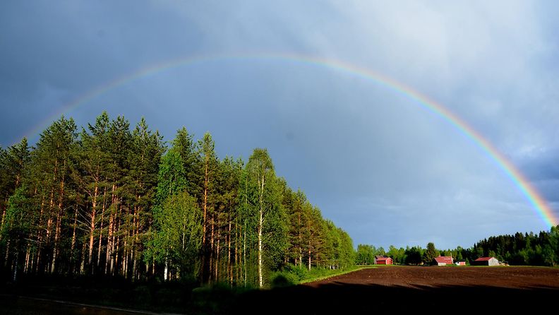 Sateenkaari Nurmeksessa 4. kesäkuuta 2015. Lukijan kuva: Maija Savolainen