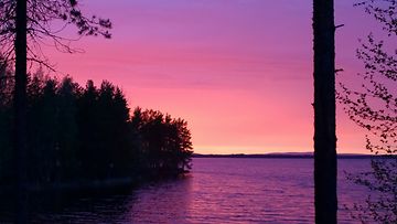 Violetti iltahetki kesällä 2015. Lukijan kuva: Erkki Kylmälä, Ranua, Simojärvi