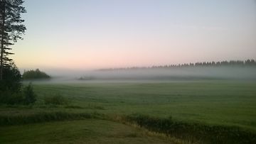 Sumua Karttulassa aamulla 18. elokuuta 2015. Lukijan kuva: Birgitta Tarvainen
