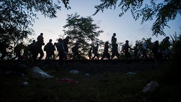 pakolainen, maahanpyrkijä, siirtolainen, pakolaistulva, unkari