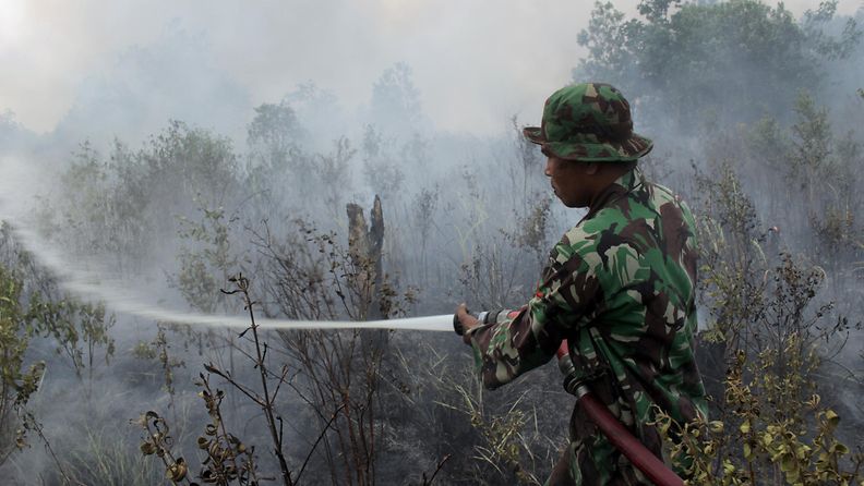 Indonesia, metsäpalot, sammutus, savu