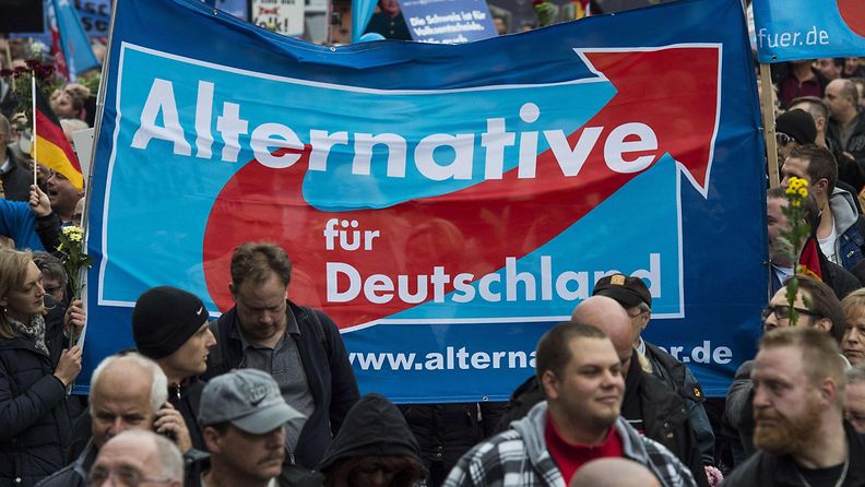 berliini mielenosoitus pakolaiset saksa vaihtoehto saksalle -puolue
