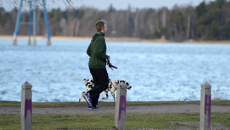 Mies ulkoilutti koiraa lauhassa säässä Hietaniemessä Helsingissä 30. joulukuuta 2013.