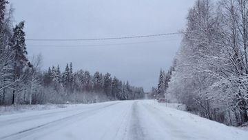 Talvinen maisema tiellä 79 Rovaniemen lähellä 12. marraskuuta 2015. Kuva: Anne Urpo