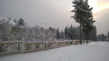 Lunta Rovaniemellä 12. marraskuuta 2015. Kuva: Ville Polvela