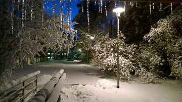 Lunta Vaasassa 23. marraskuuta 2015. Kuva: Mauri Pelkonen