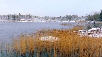 Lunta ja sula meri Vaasassa 22. marraskuuta 2015. Kuva: Matti Hietala