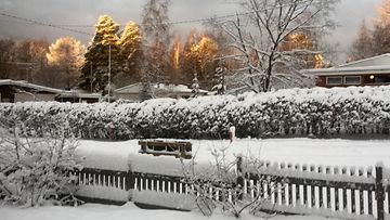 Aamuinen talvipäivä Kontiolahdella. Kuva: Leena Martikainen