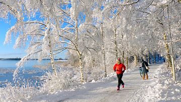 Ulkoilua aurinkoisessa talvimaisemassa Vaasassa 23. marraskuuta 2015. Kuva: Matti Hietala
